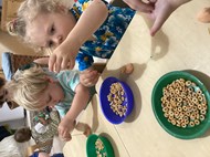 Fine Motor Workout