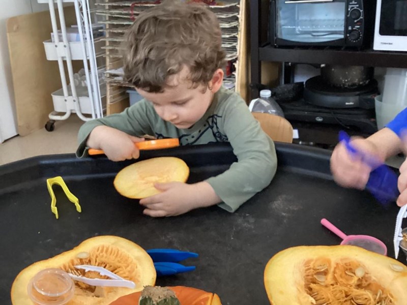 Dissecting Pumpkins