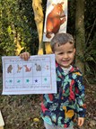 Gruffalo Hunt