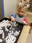 Igloo Making