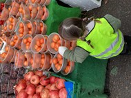 Delicious Vegetable Soup